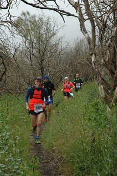 VESUVIO ULTRA MARATHON 12 Maggio 2019  49&23 Km - foto 531