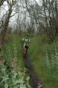 VESUVIO ULTRA MARATHON 12 Maggio 2019  49&23 Km - foto 536
