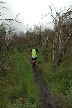 VESUVIO ULTRA MARATHON 12 Maggio 2019  49&23 Km - foto 540