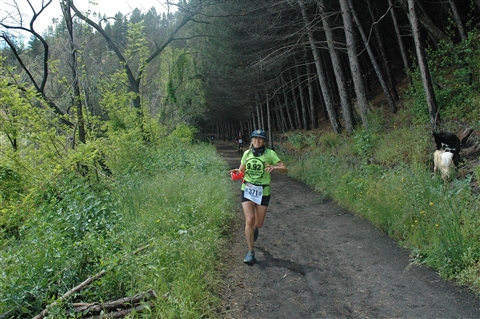 VESUVIO ULTRA MARATHON 12 Maggio 2019  49&23 Km - foto 609