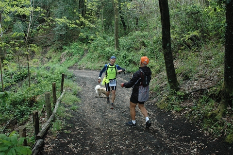 VESUVIO ULTRA MARATHON 12 Maggio 2019  49&23 Km - foto 649