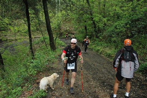VESUVIO ULTRA MARATHON 12 Maggio 2019  49&23 Km - foto 651