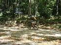 Anello delle sorgenti del parco regionale dell' irpinia Carbonari Bikers - foto 12