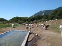 Anello delle sorgenti del parco regionale dell' irpinia Carbonari Bikers - foto 31