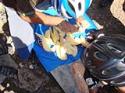 Anello delle sorgenti del parco regionale dell' irpinia Carbonari Bikers - foto 45