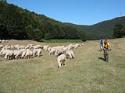 Anello delle sorgenti del parco regionale dell' irpinia Carbonari Bikers - foto 65