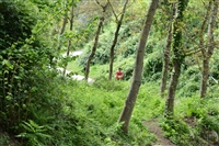 ARRIVIdel Trail di Pizzo San Michele e Caggiana Trail  Foto by "Tommaso Vietri" - foto 24