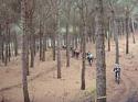 Brindisi e pranzo di fine anno dei CARBONARI BIKERS al Vesuvio (NA) - foto 61