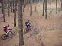 Brindisi e pranzo di fine anno dei CARBONARI BIKERS al Vesuvio (NA) - foto 64