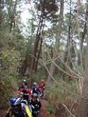 Brindisi e pranzo di fine anno dei CARBONARI BIKERS al Vesuvio (NA) - foto 71