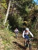 Escursione con Noè Bike-Team Annalisa-Amici per la bici-Mtb Vesuvio e Cycling Salerno - foto 105