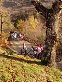 MEGA escursione da Calvanico a Sieti (SA) - foto 16