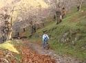 MEGA escursione da Calvanico a Sieti (SA) - foto 25