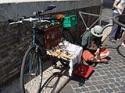 Giro dei 7 colli di ROMA con i Carbonari Bikers - foto 198