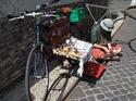 Giro dei 7 colli di ROMA con i Carbonari Bikers - foto 199