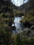 Escursione da CETARA al Monte Dell'Avvocata (Monti LATTARI) SALERNO - foto 25