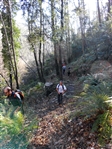 Escursione da CETARA al Monte Dell'Avvocata (Monti LATTARI) SALERNO - foto 28