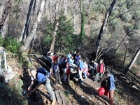 Escursione da CETARA al Monte Dell'Avvocata (Monti LATTARI) SALERNO - foto 30