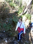 Escursione da CETARA al Monte Dell'Avvocata (Monti LATTARI) SALERNO - foto 37