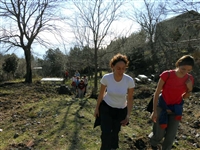 Escursione da CETARA al Monte Dell'Avvocata (Monti LATTARI) SALERNO - foto 52