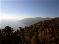 Escursione da CETARA al Monte Dell'Avvocata (Monti LATTARI) SALERNO - foto 69