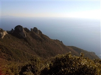 Escursione da CETARA al Monte Dell'Avvocata (Monti LATTARI) SALERNO - foto 70