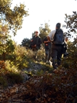 Escursione da CETARA al Monte Dell'Avvocata (Monti LATTARI) SALERNO - foto 73