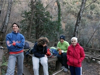 Escursione da CETARA al Monte Dell'Avvocata (Monti LATTARI) SALERNO - foto 80