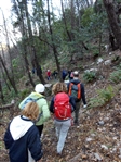 Escursione da CETARA al Monte Dell'Avvocata (Monti LATTARI) SALERNO - foto 90