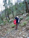 Escursione da CETARA al Monte Dell'Avvocata (Monti LATTARI) SALERNO - foto 91