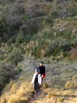 Escursione da CETARA al Monte Dell'Avvocata (Monti LATTARI) SALERNO - foto 96