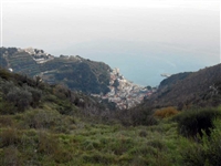Escursione da CETARA al Monte Dell'Avvocata (Monti LATTARI) SALERNO - foto 114