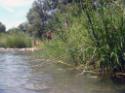 Ciclo-escursione FIAB a Controne (Cilento) e bagno al fiume Calore - foto 39