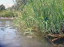Ciclo-escursione FIAB a Controne (Cilento) e bagno al fiume Calore - foto 40