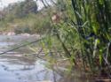 Ciclo-escursione FIAB a Controne (Cilento) e bagno al fiume Calore - foto 41