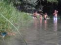 Ciclo-escursione FIAB a Controne (Cilento) e bagno al fiume Calore - foto 42