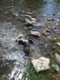 Ciclo-escursione FIAB a Controne (Cilento) e bagno al fiume Calore - foto 44