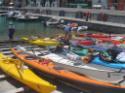 Da Maratea e Marina di Camerota in Kayak - foto 74
