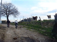 Cicloescursione sulle colline salernitane (Montena) - foto 9