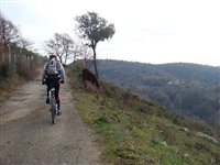 Cicloescursione sulle colline salernitane (Montena) - foto 43