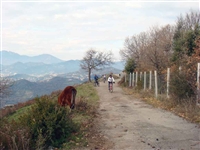 Cicloescursione sulle colline salernitane (Montena) - foto 46