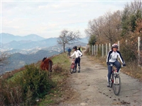 Cicloescursione sulle colline salernitane (Montena) - foto 47