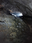 Cicloescursione FIAB alla Grotta dello SCALANDRONE (monte ACCELLICA) - foto 7