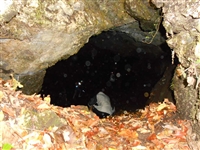 Cicloescursione FIAB alla Grotta dello SCALANDRONE (monte ACCELLICA) - foto 22