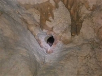 Cicloescursione FIAB alla Grotta dello SCALANDRONE (monte ACCELLICA) - foto 31