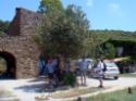 Escursione da Agropoli a Santa Maria di Castellabbate passando per Punta Tresino - foto 40